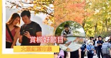 賞楓好節目|逛大棠紅葉市集 賞楓好節目|逛大棠紅葉市集