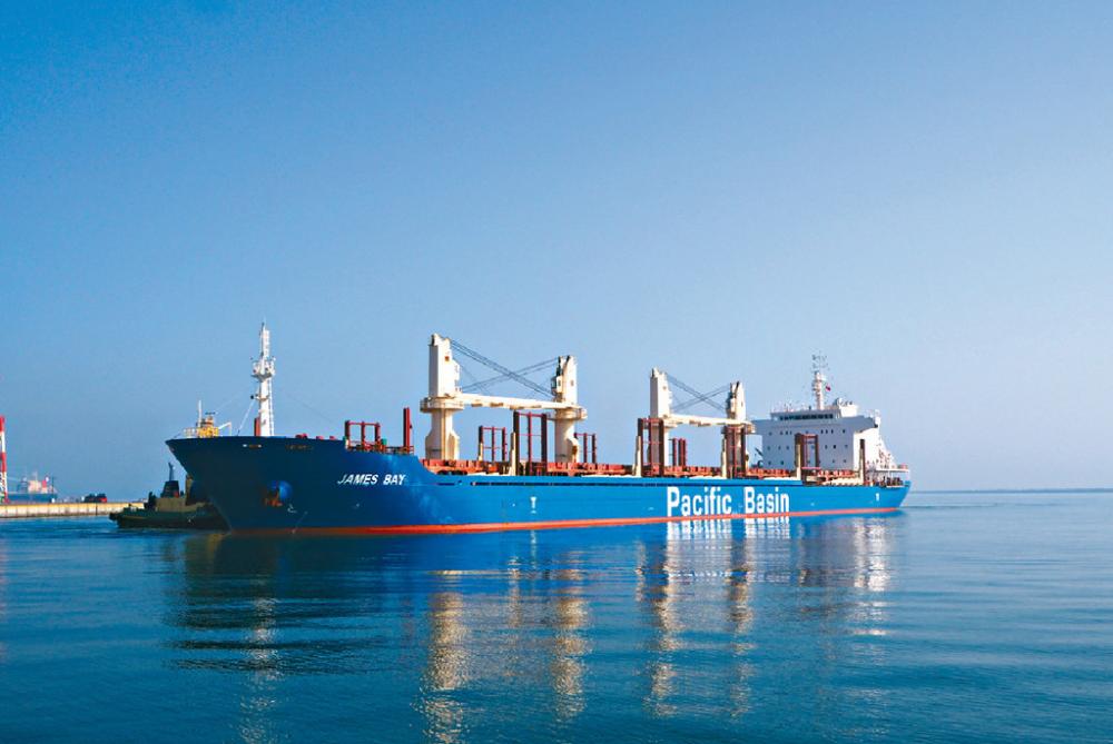 ■太平洋航運自有船隊為119艘貨船，加上租賃的貨船，合共營運264艘貨船。