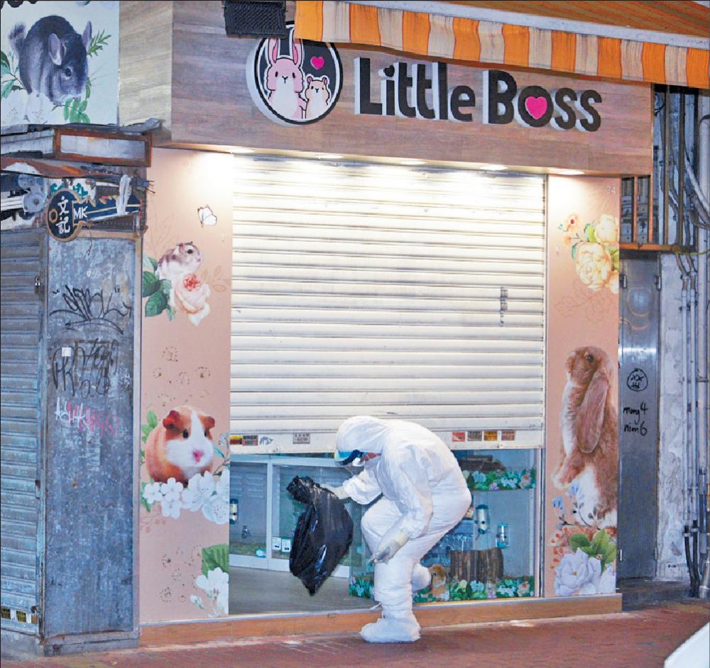 ■銅鑼灣寵物店Little Boss染疫群組擴大。