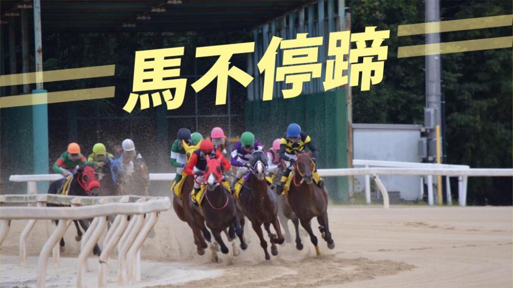 馬識途 - 汗馬之勞｜馬不停蹄
