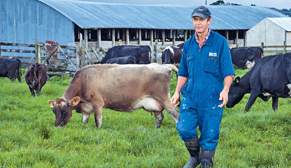 ■紐西蘭的溫室氣體總量近一半來自農業，其中以甲烷為主，源頭是牛羊打嗝時會產生大量甲烷。