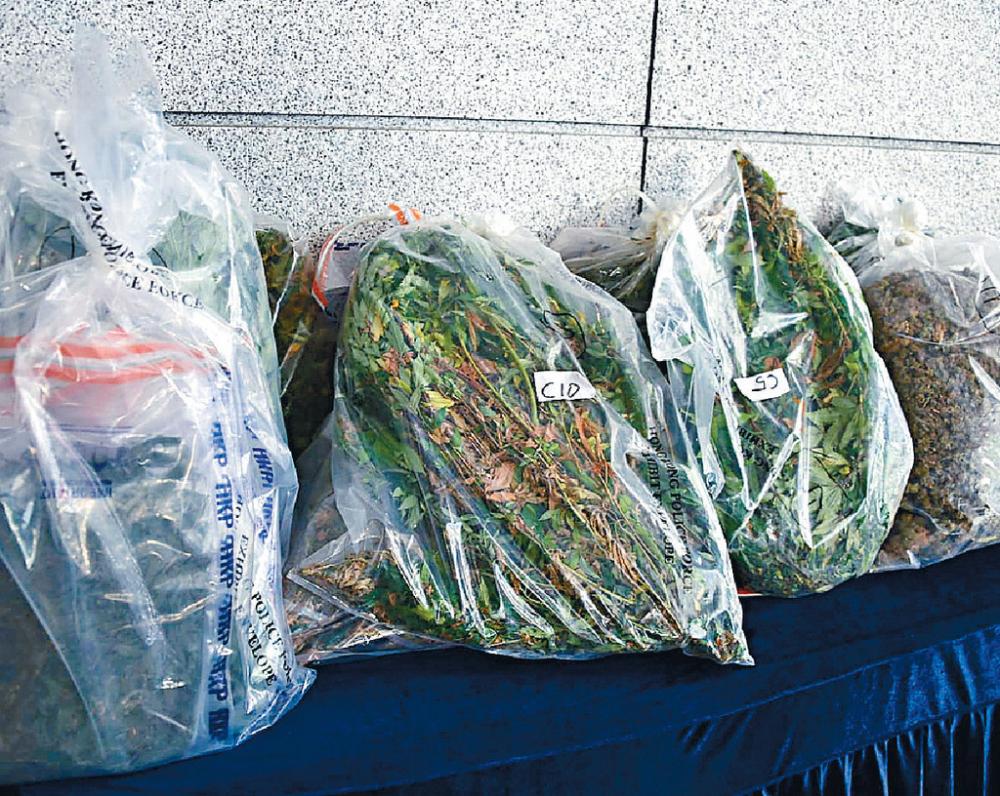 ■行動中共檢獲市值約一千八百萬元的大麻植物及大麻製成品。
