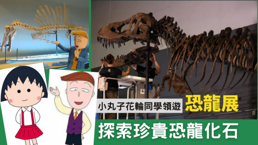 周末親子遊｜小丸子花輪同學領遊 香港科學館恐龍展 探索珍貴恐龍化石
