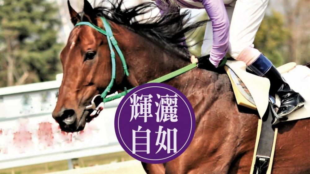 朱鎮輝 - 賽馬投注 疫市奇葩｜輝灑自如
