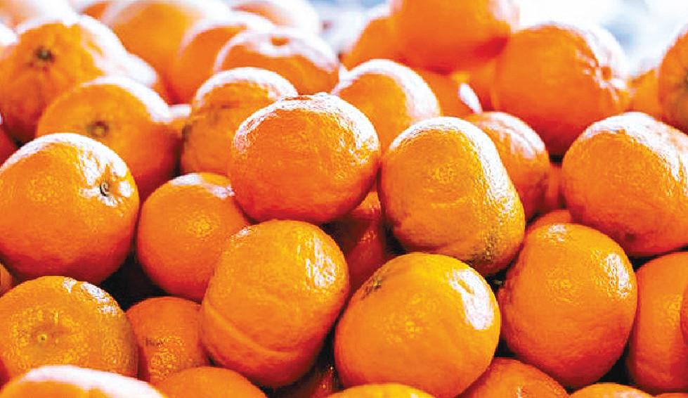 ■海關總署昨日再以在包裝驗出新冠病毒陽性為由，暫停台灣柑橘類水果等進口。