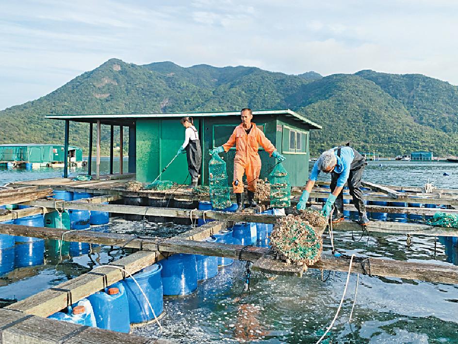 ■機場管理局成立漁業提升基金，全力支持本地漁業可持續發展。