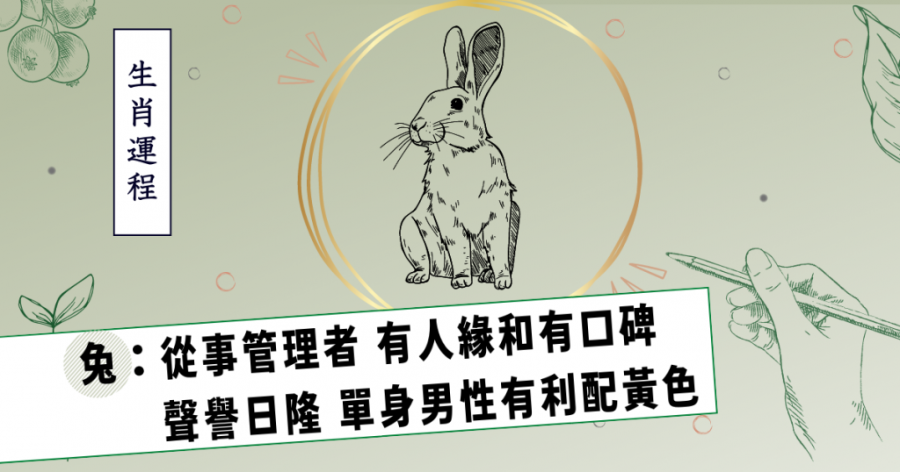 生肖運程｜屬兔從事管理者 有人緣和有口碑 聲譽日隆 單身男性有利配黃色