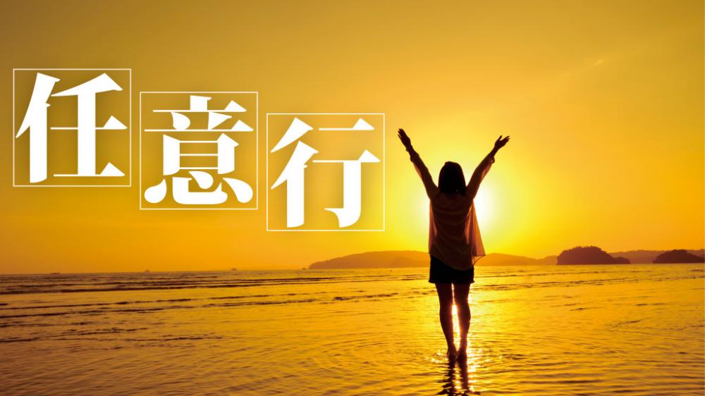 張諾 - 音樂劇  《唐吉訶德》｜任意行