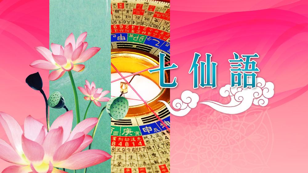 七仙羽 - 房中有房 易惹小三｜七仙語