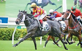 仲達 - 安頌弱組爭勝｜頭號目標