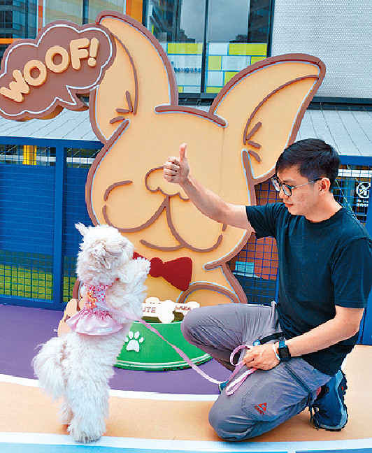 ■VTC將在西九文化區舉辦VTC「玩轉技能」嘉年華，當中舉辦多個寵物工作坊和活動，包括寵物按摩、狗狗瑜伽和狗隻訓練。