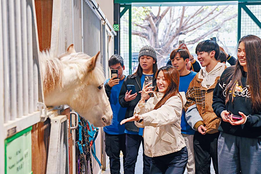 新一屆JSR學員早前到訪馬會屯門公眾騎術學校，與馬匹近距離接觸。